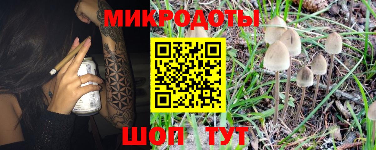 Псилоцибиновые грибы Psilocybe Люберцы