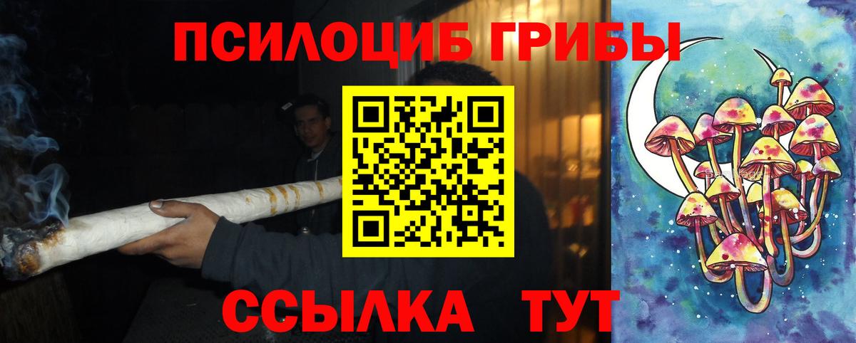 Люберцы  наркотики  Вход с VPN  Галлюциногенные грибы GOLDEN TEACHER 